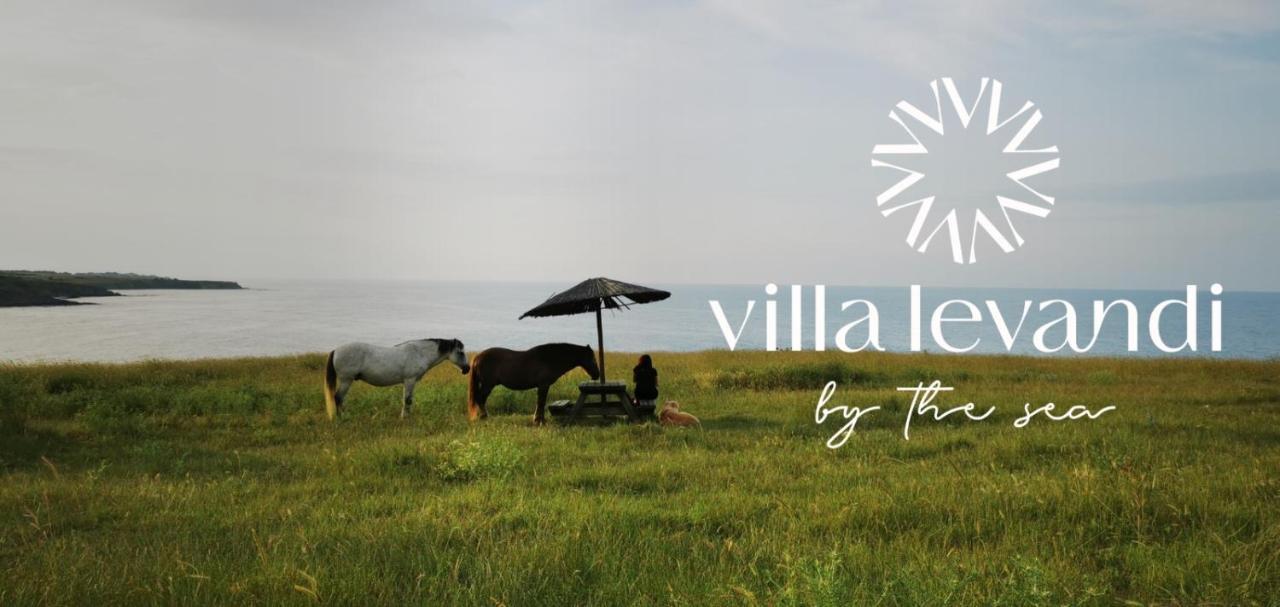 Villa Lеvandi シネモレツ エクステリア 写真